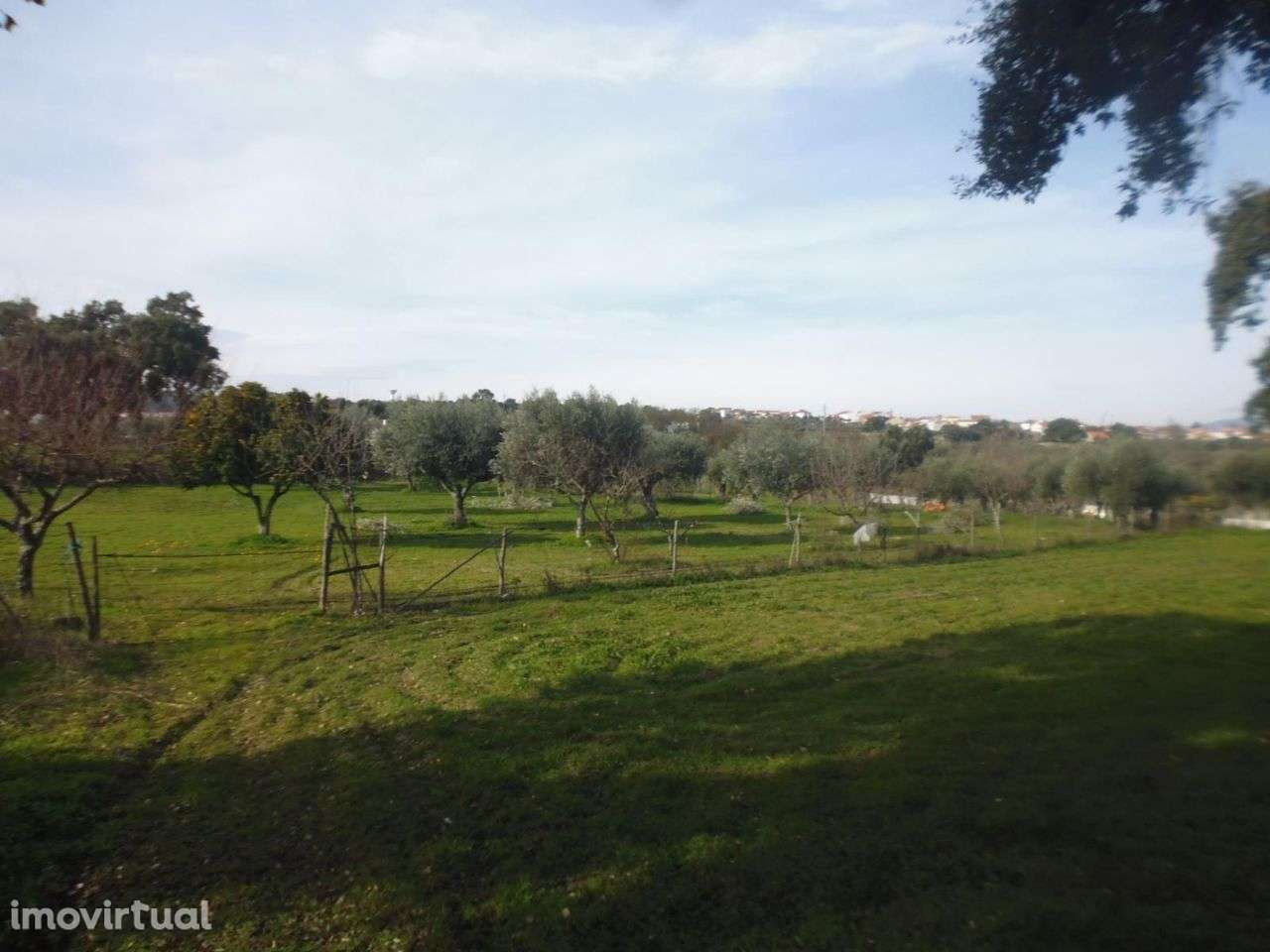 Quinta - Grande imagem: 5/8