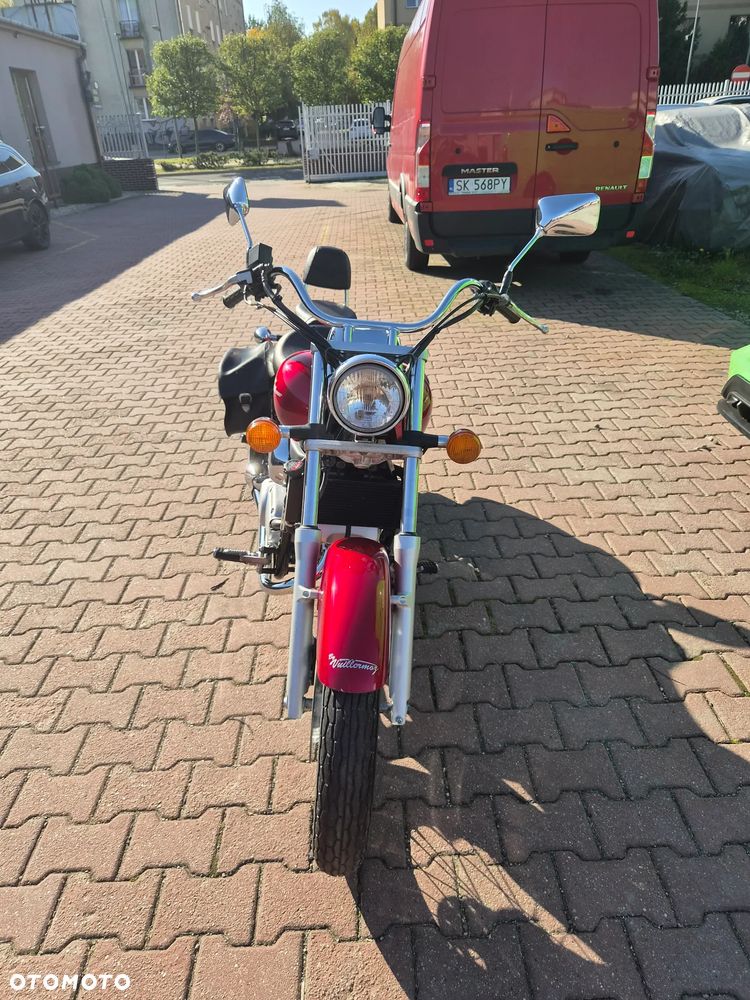 Honda Shadow - 19