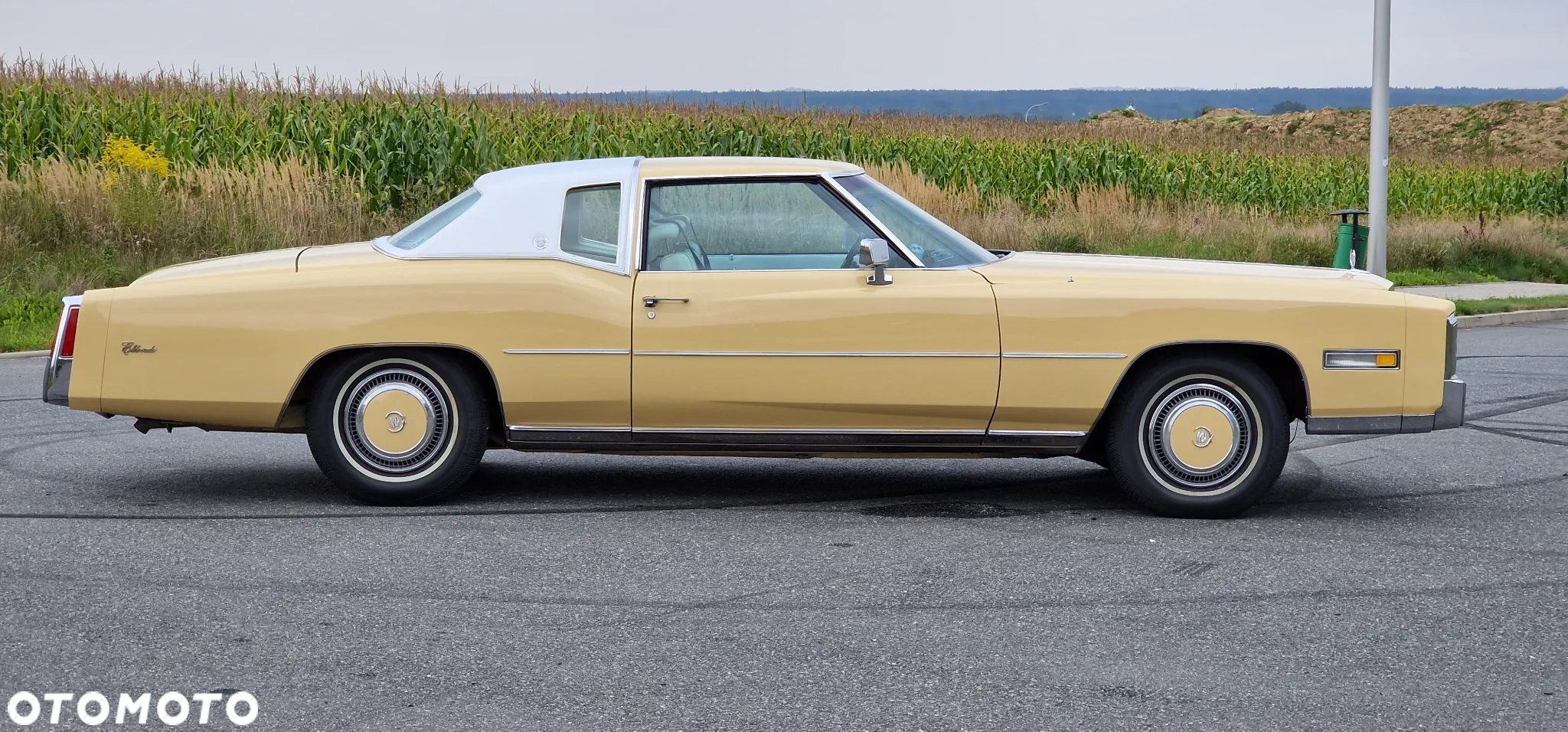 Cadillac Eldorado - 6