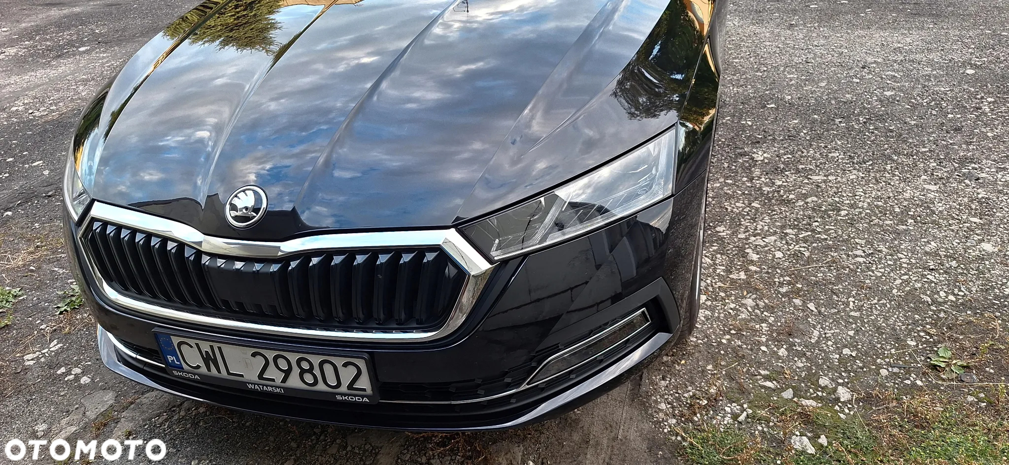 Skoda Octavia - 6
