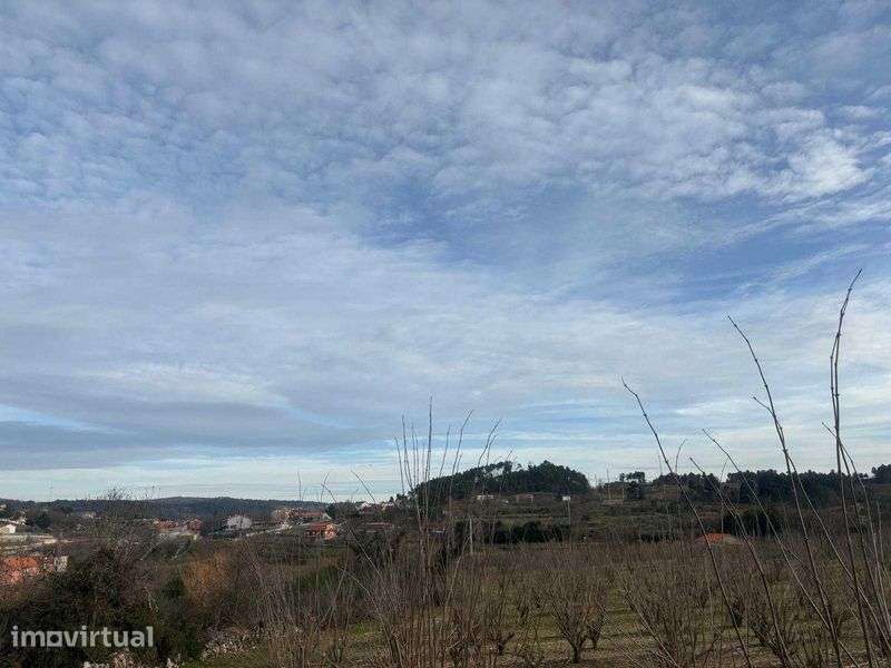 Terreno em Tarouca - Grande imagem: 4/6