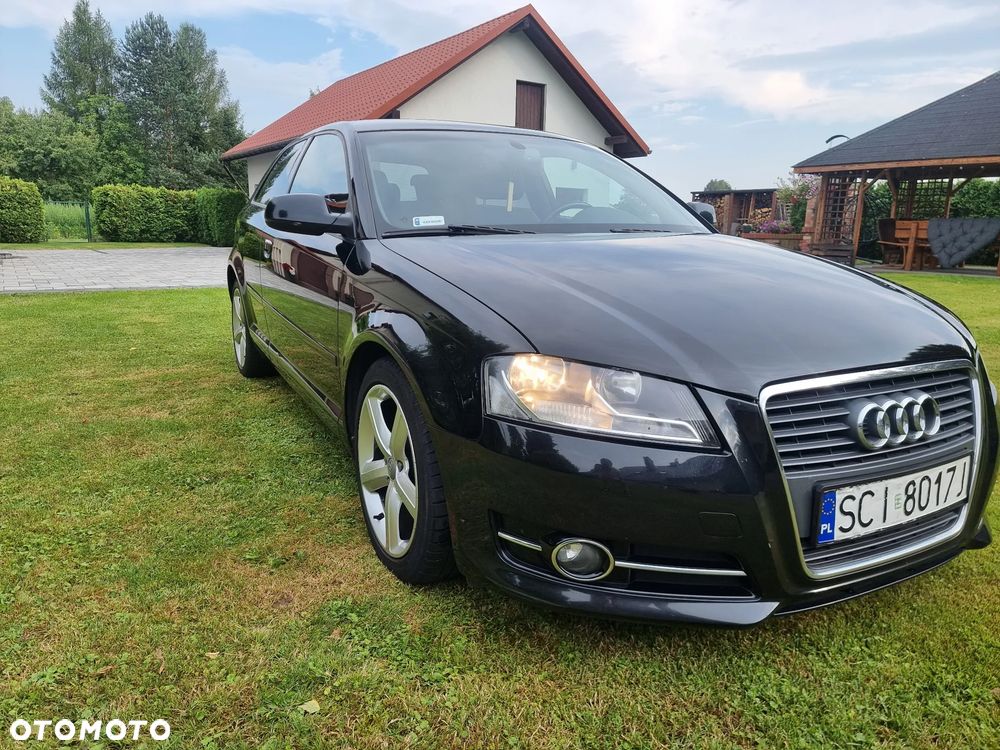 Audi A3 3-drzwiowe 1.6 TDI 99g DPF - 5
