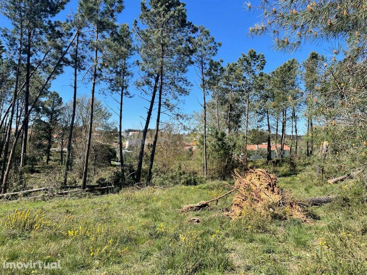 Terreno / Seia, Santiago - Grande imagem: 2/4