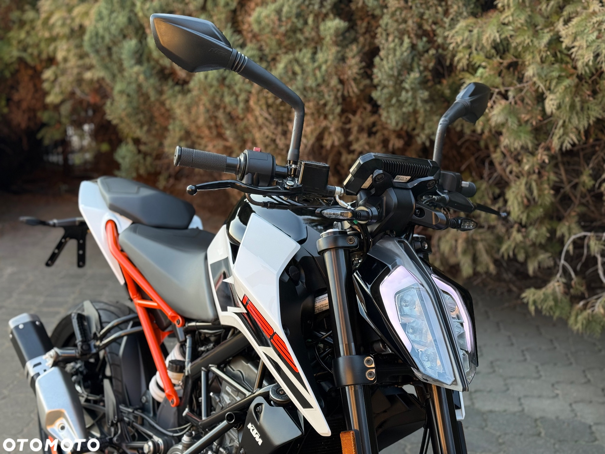 KTM Duke - 9