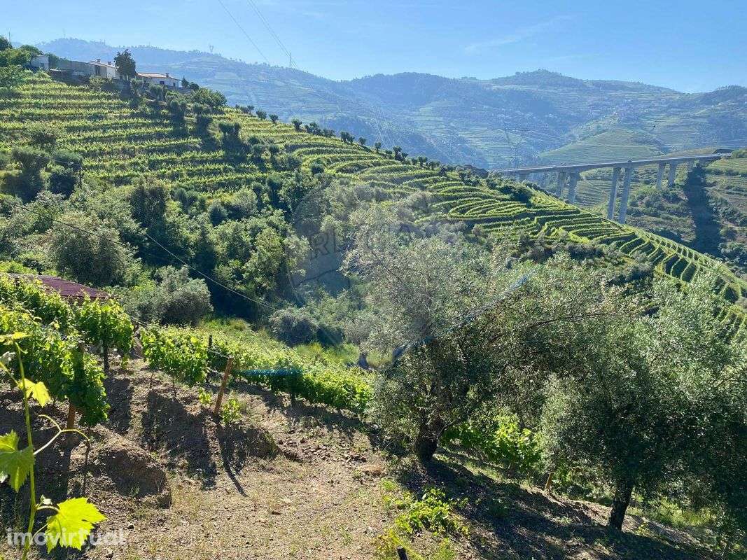 Terreno  para venda - Grande imagem: 2/4