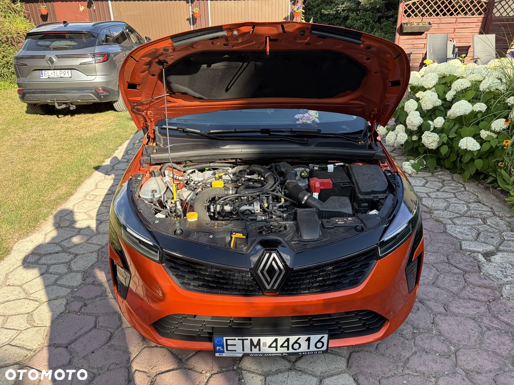 Renault Clio - 17