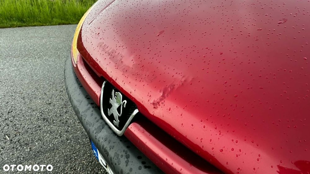 Peugeot 206 - 8