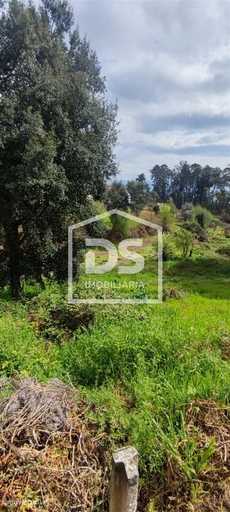 Terreno Rústico  Venda em Freixo de Cima e de Baixo,Amarante - Grande imagem: 4/10