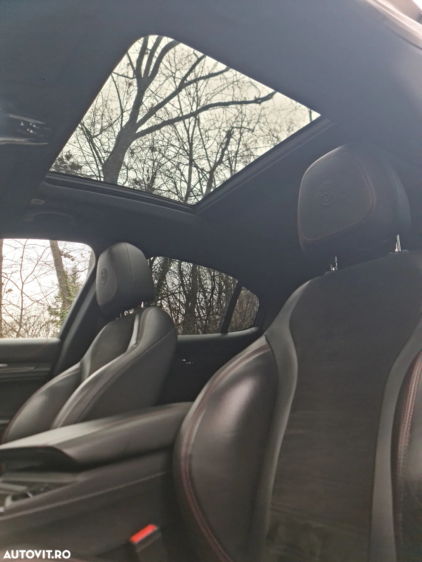 Alfa Romeo Stelvio 2.9 V6 Turbo AWD AT8 Quadrifoglio - 19