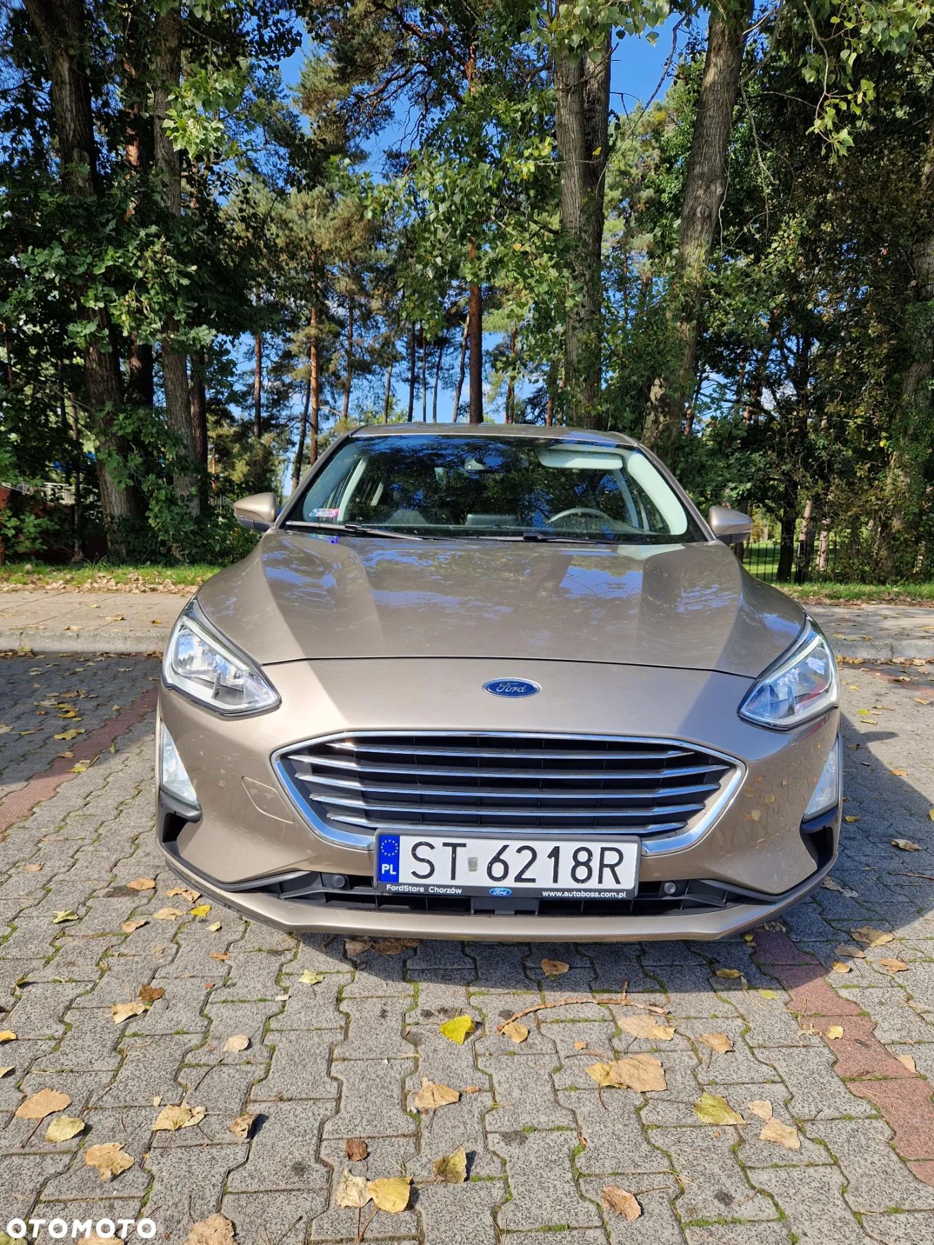 Ford Focus 1.5 EcoBoost Titanium Business - 1
