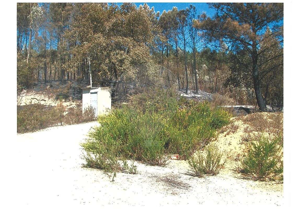 Terreno  para venda - Grande imagem: 2/3