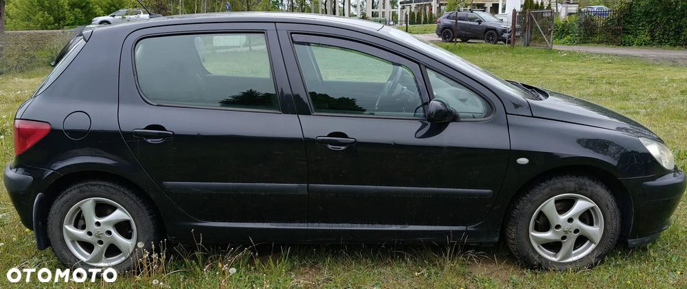 Peugeot 307 1.6 XS - 6