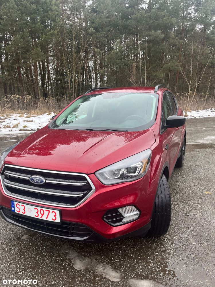 Ford Escape - 1