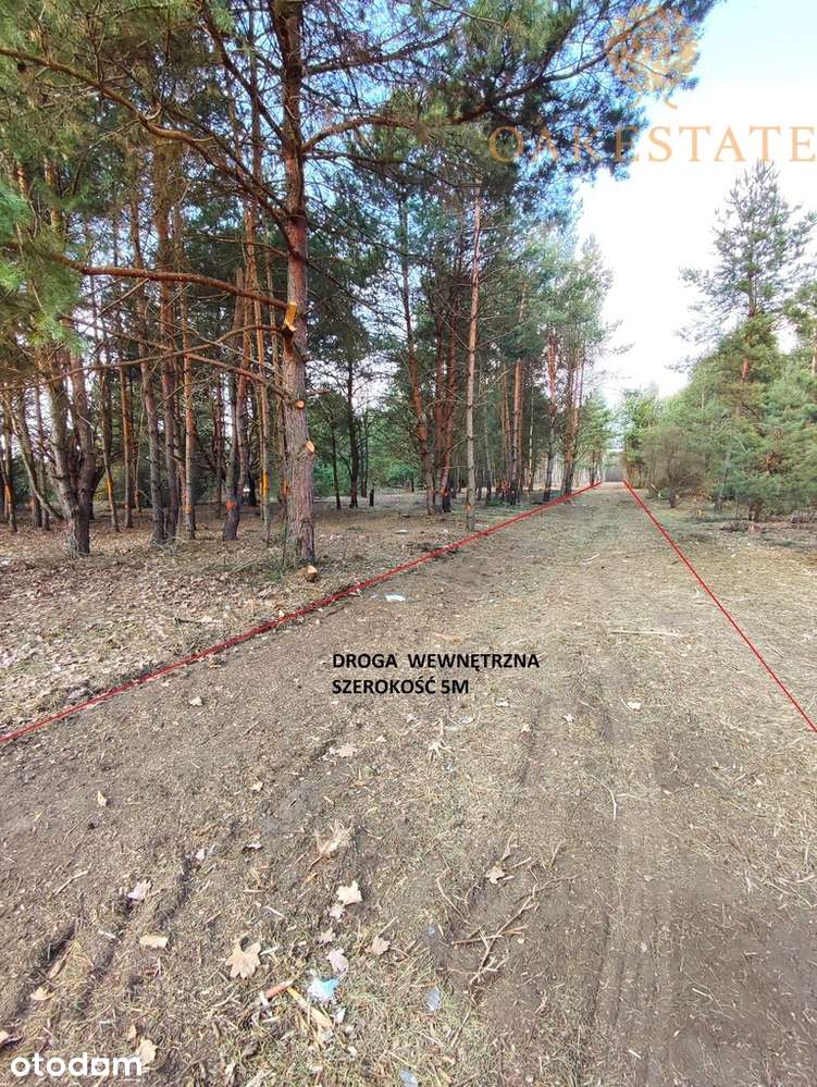 działki 1100 m2, cisza i zieleń - Pełny obrazek: 2/7
