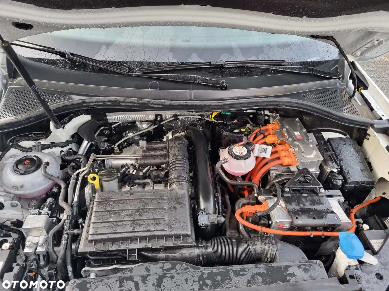Volkswagen Tiguan - 8