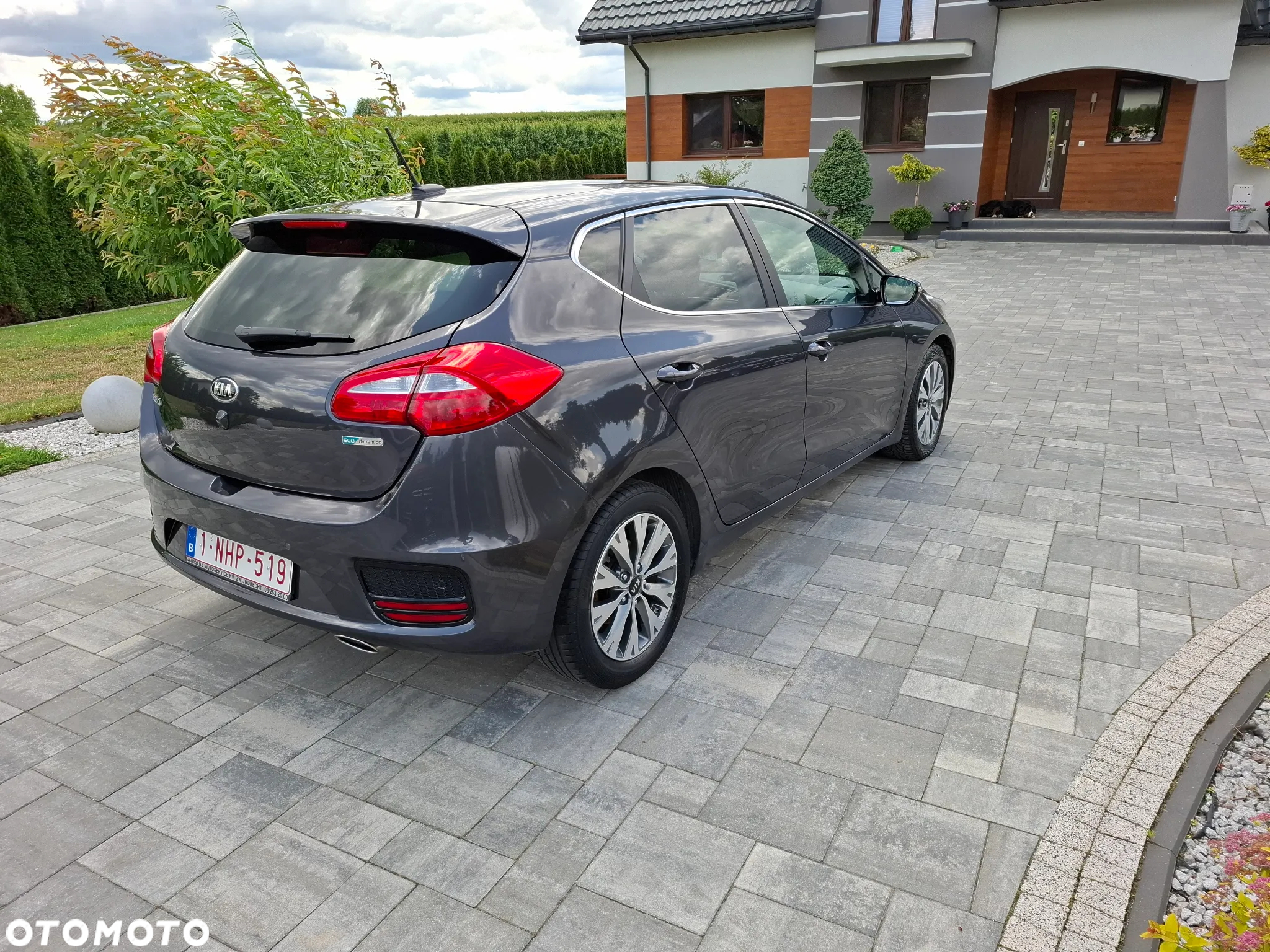 Kia Ceed 1.0 T-GDI 120 OPF Edition 7 - 13
