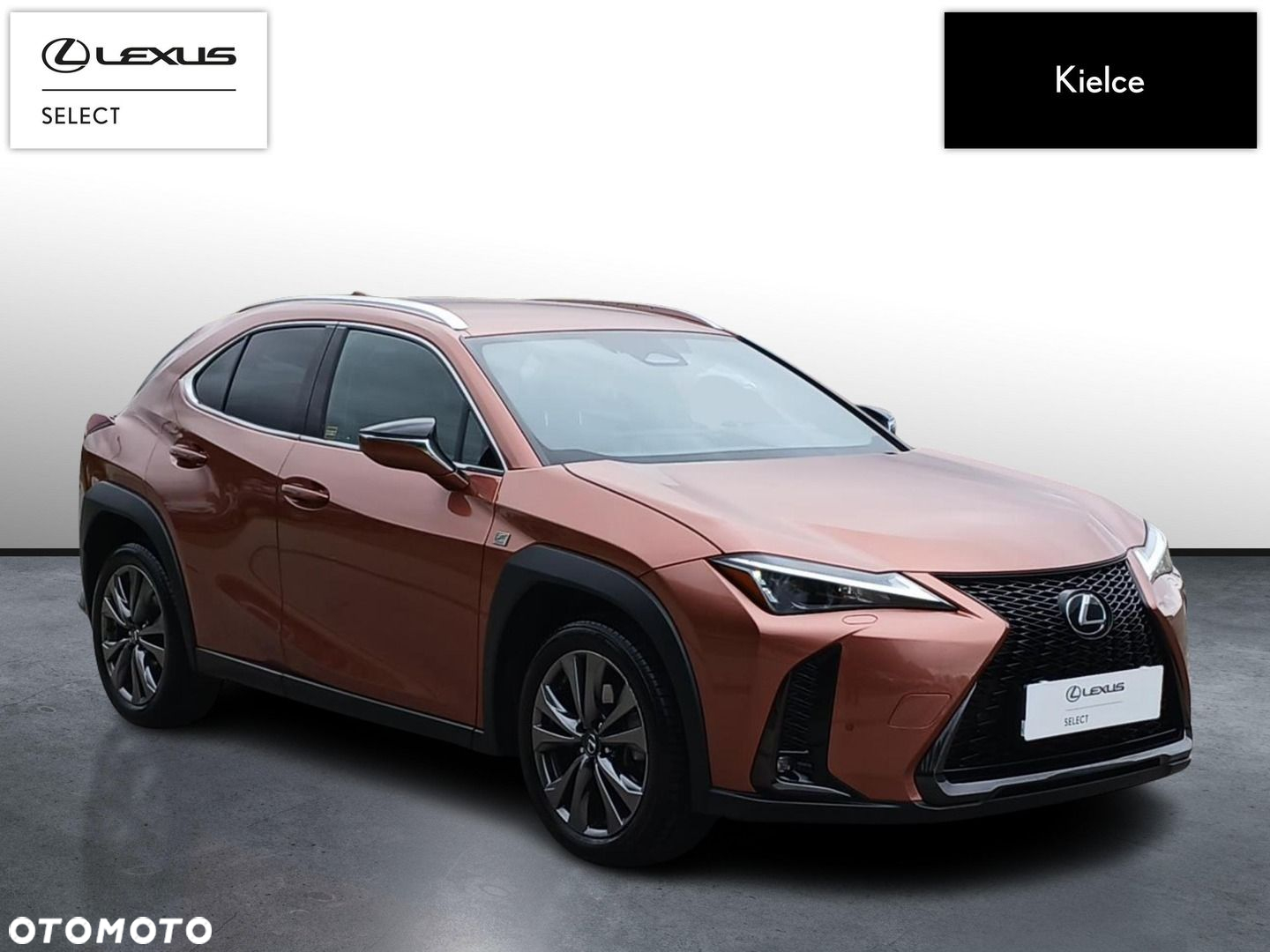 Lexus UX 300h F Sport Design - 7