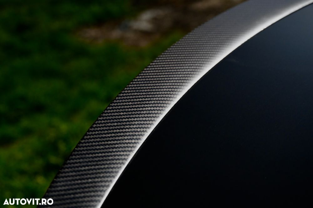 Tesla Model Y Performance - 21