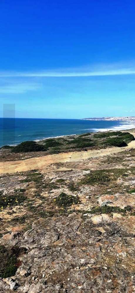 Terreno Rústico à Beira-Mar em Espinheiras Sintra - Grande imagem: 2/14