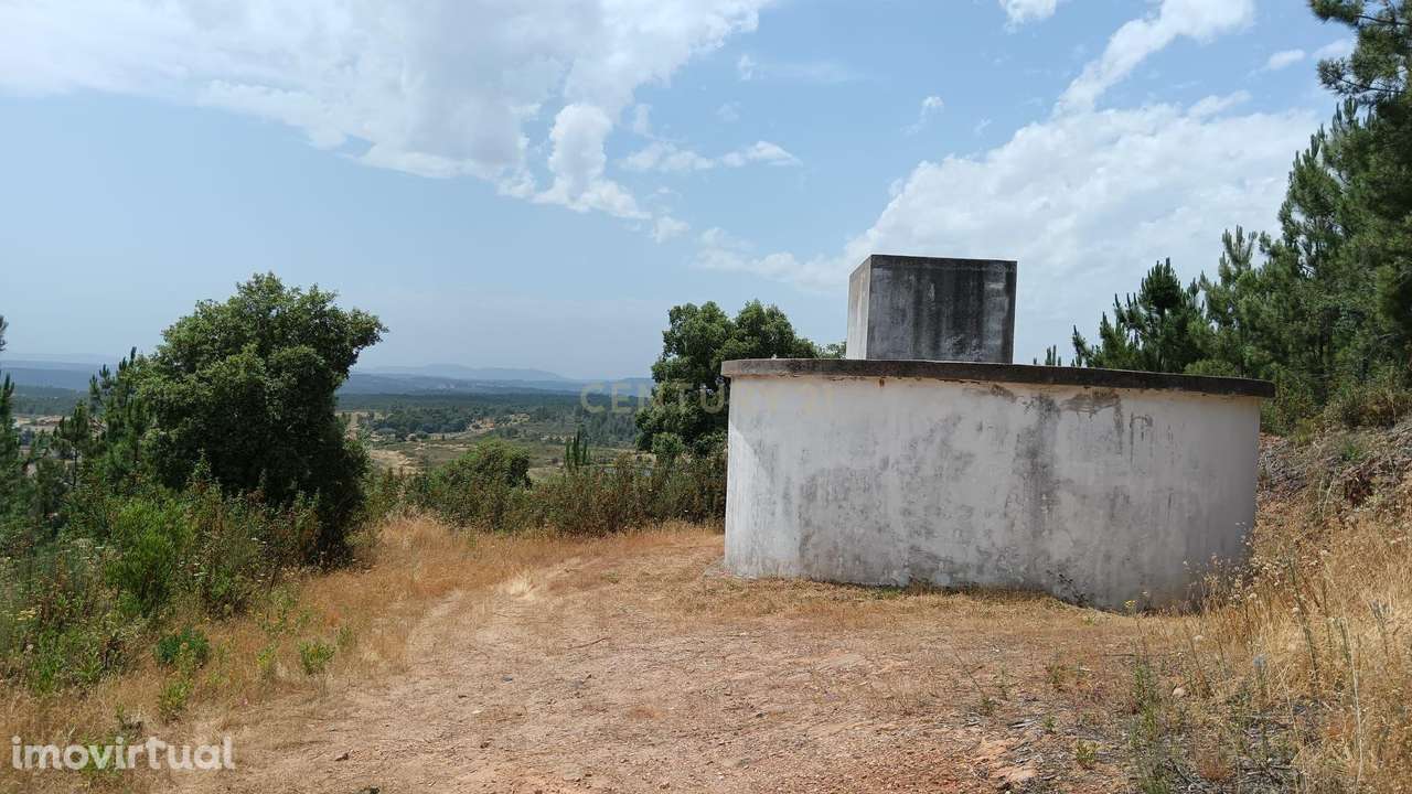 Terreno rústico 2ha, Palvarinho, Castelo Branco - Grande imagem: 4/13