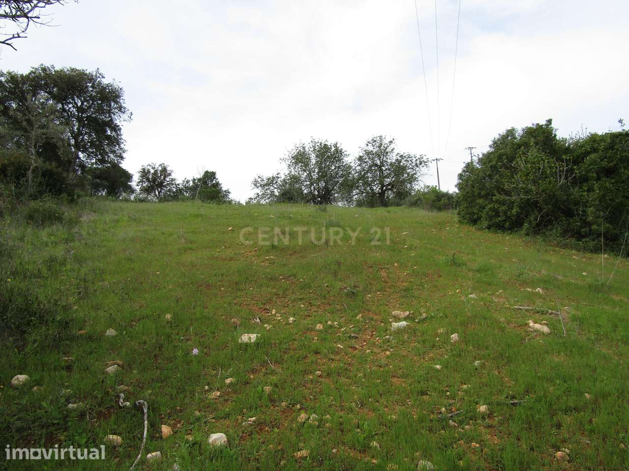 Terreno Rustico em Paderne - Grande imagem: 5/12