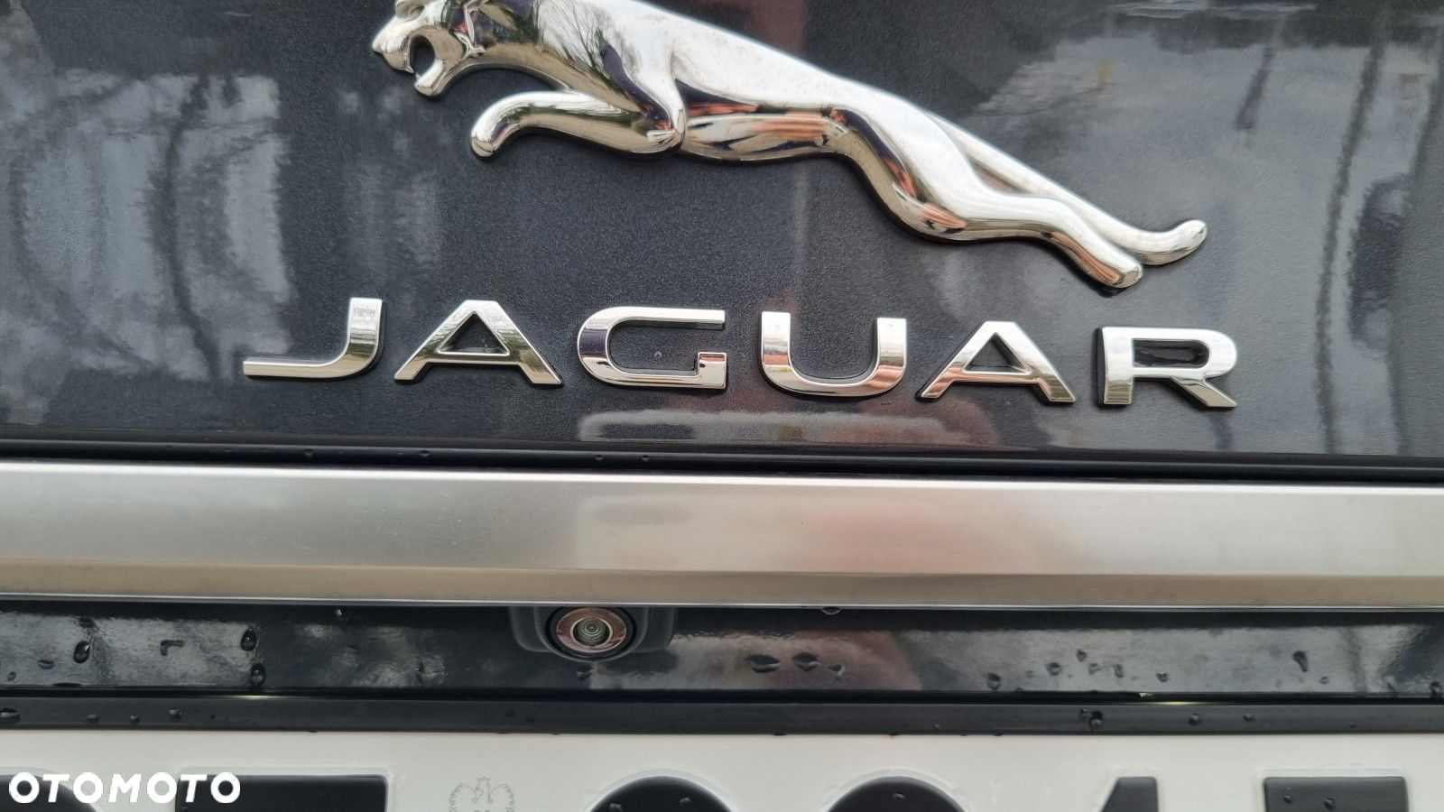Jaguar XF - 24