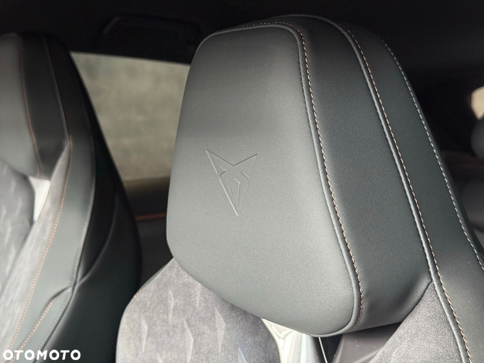Cupra Terramar - 16