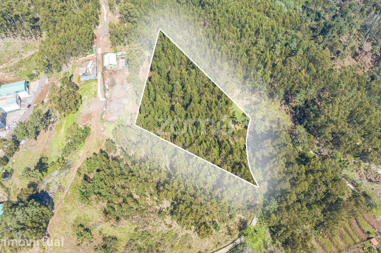 Terreno na Camacha - Grande imagem: 2/8