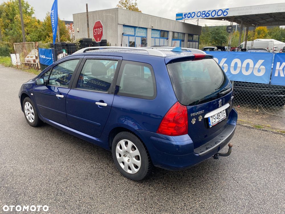 Peugeot 307 110 Grand Filou Cool - 19