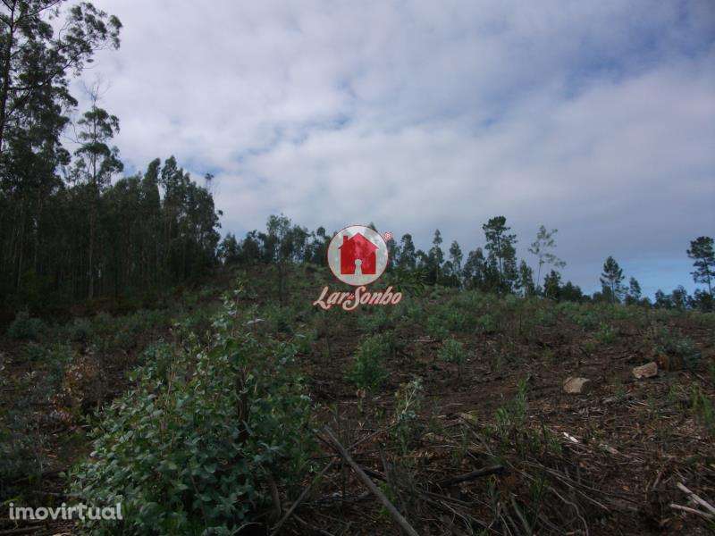 Terreno Florestal de 9.980m2 em Canidelo, Vila do Conde - Grande imagem: 3/5