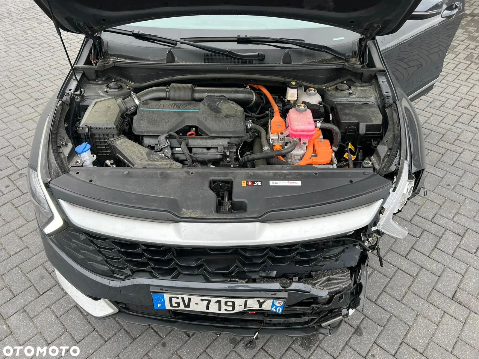 Kia Sportage - 6