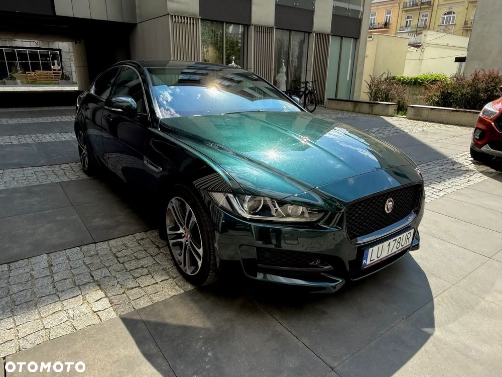 Jaguar XE - 19
