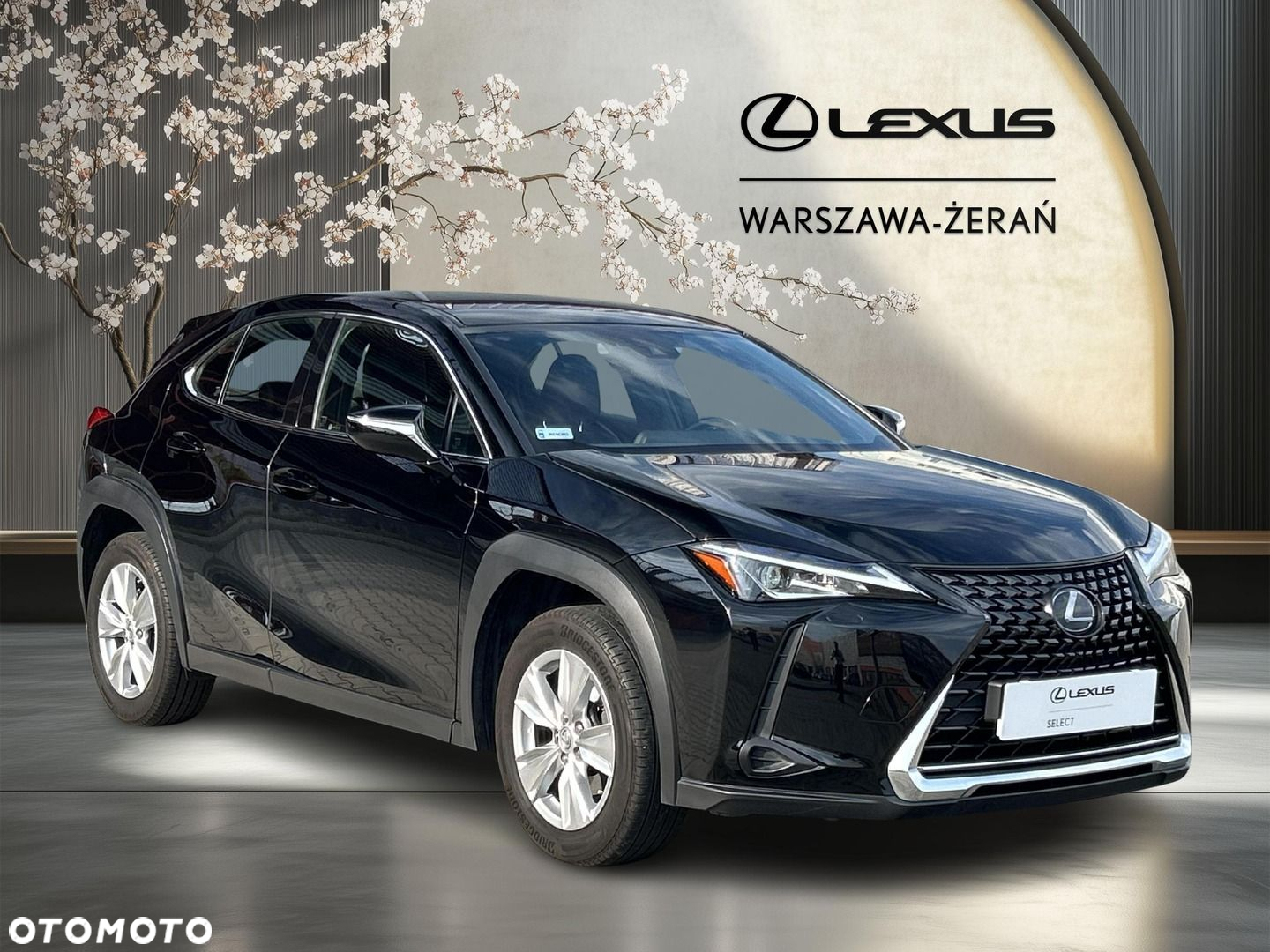 Lexus UX 200 GPF Pure 2WD - 9