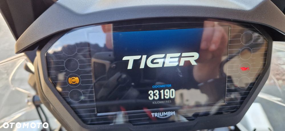 Triumph Tiger - 13