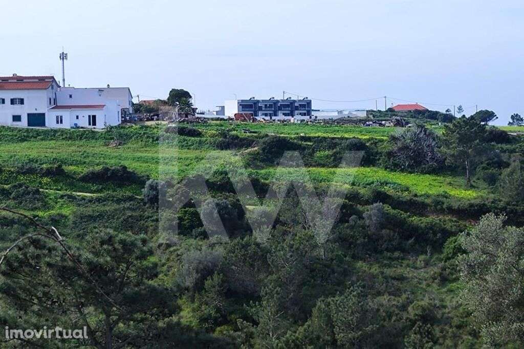 Terreno Carvoeira - Grande imagem: 2/18