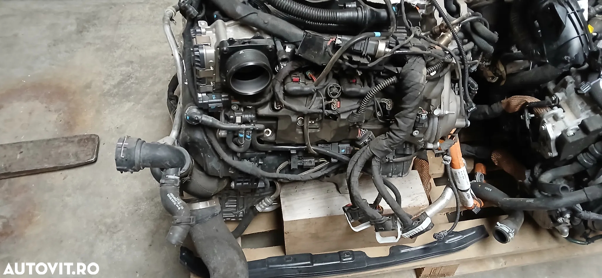 Motor DEC Audi RS5 2.9  2019 - 3