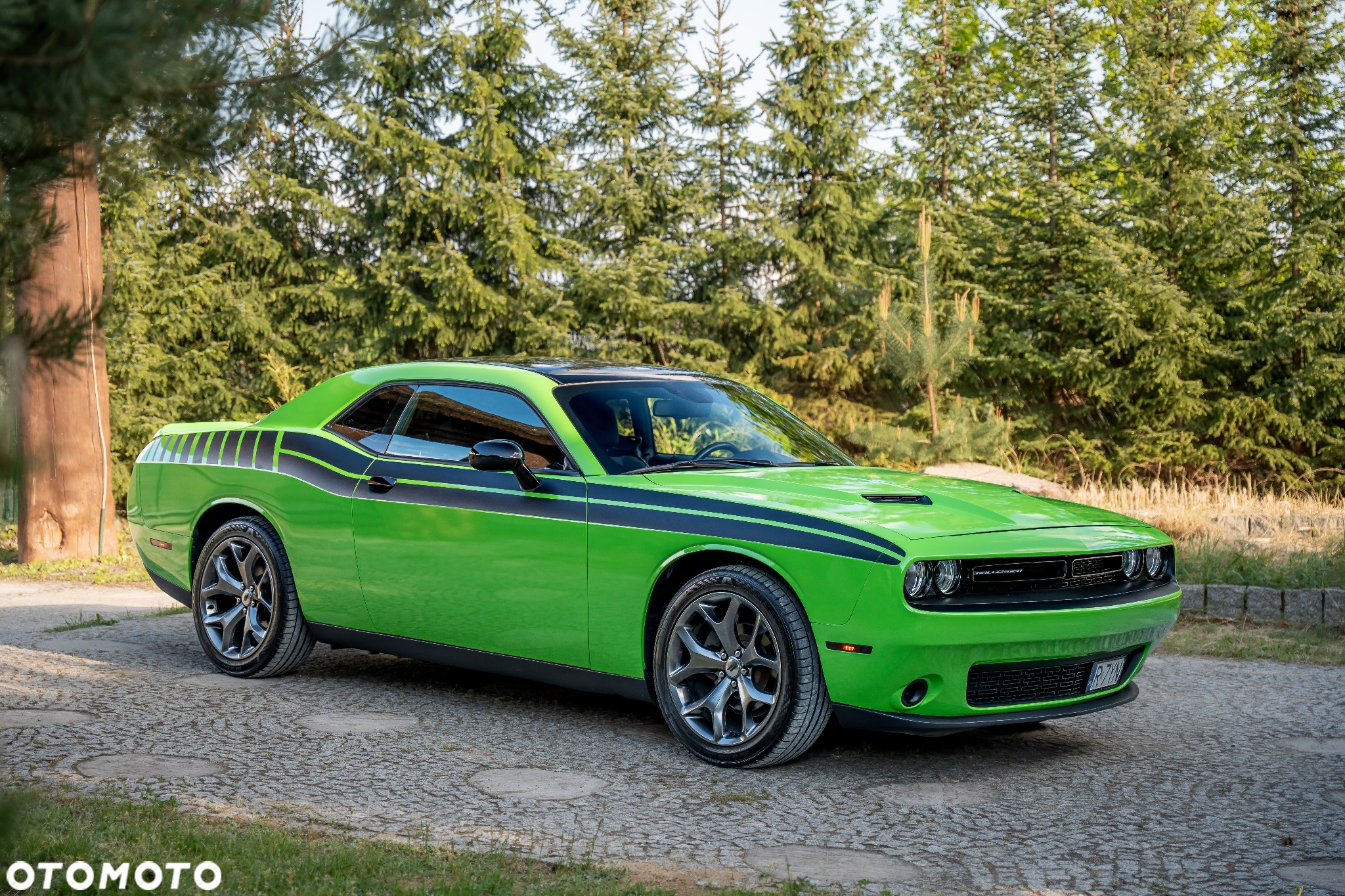 Dodge Challenger Automatik SXT Plus - 2