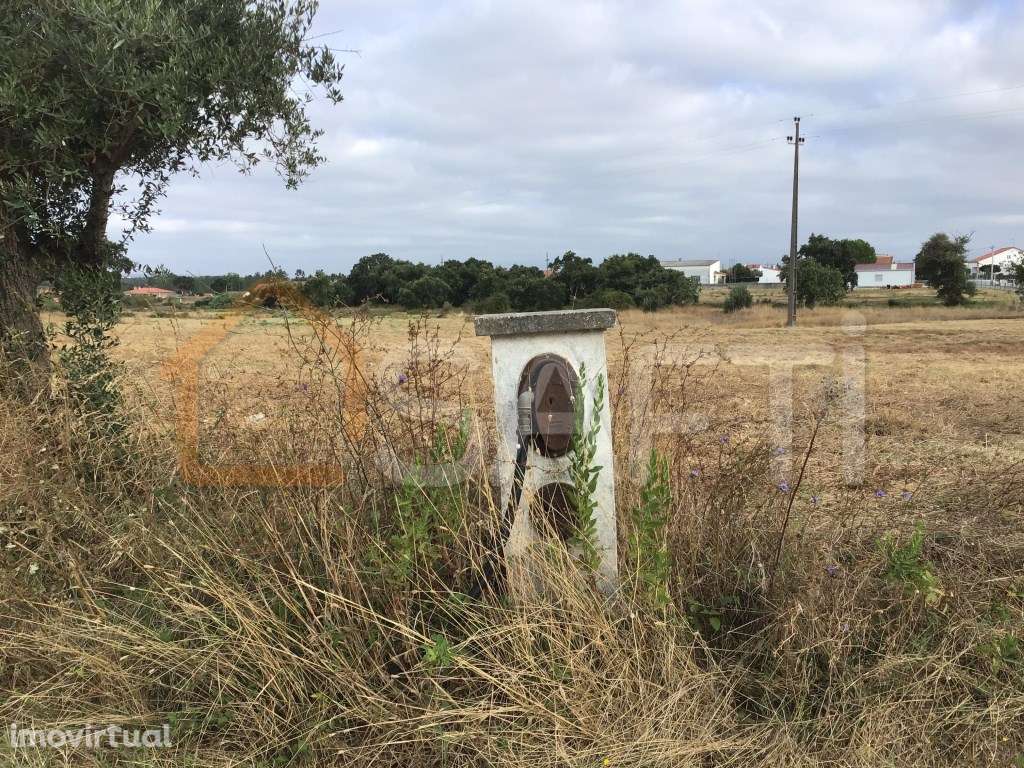 Terreno Rústico de 6.440m2 - Charneca do Peralva - Grande imagem: 3/5