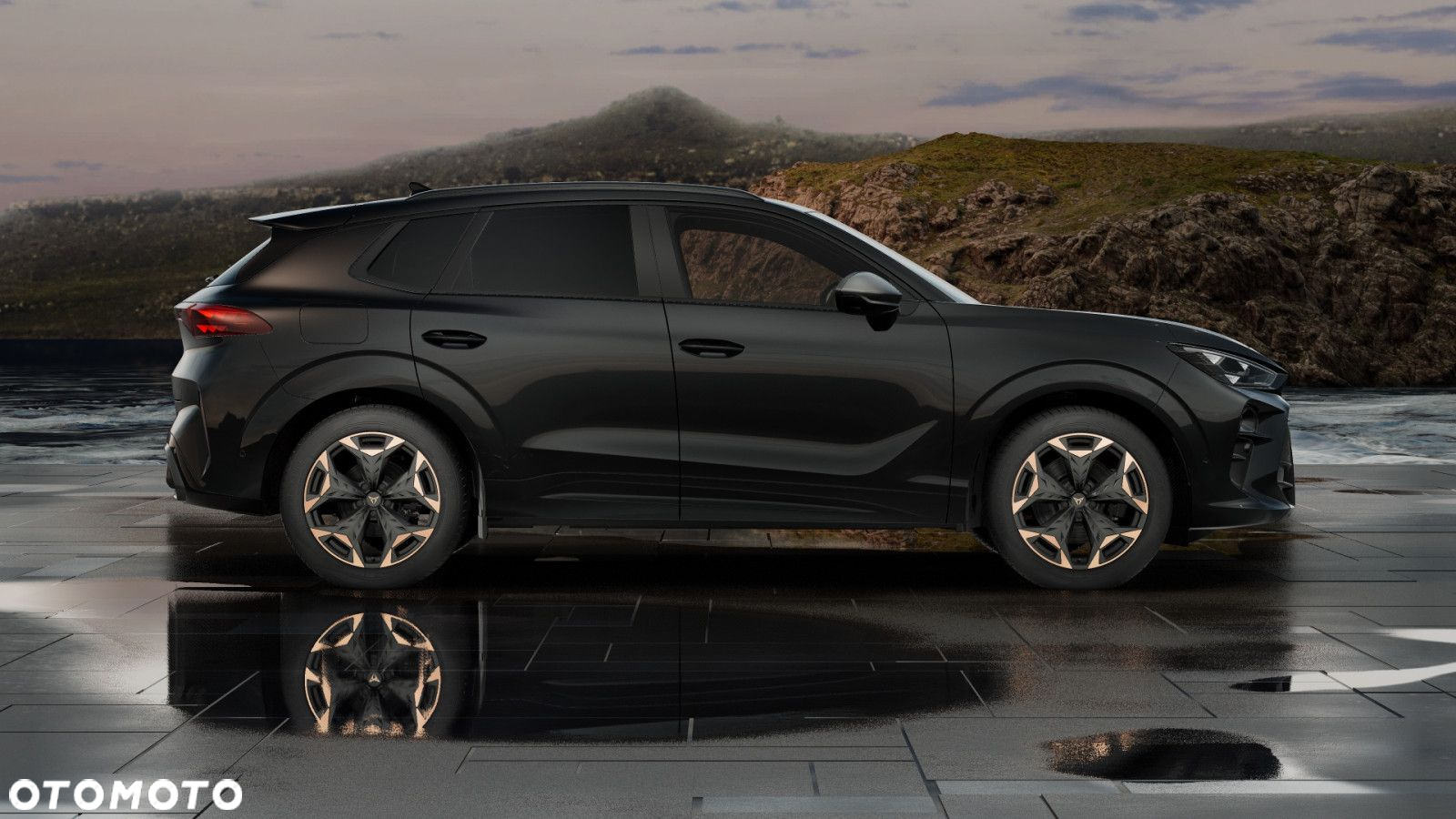 Cupra Terramar - 6