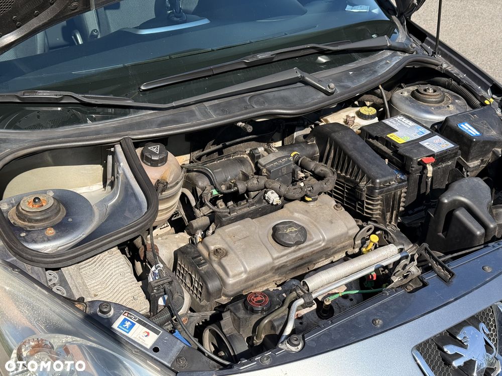 Peugeot 206 plus 60 - 17