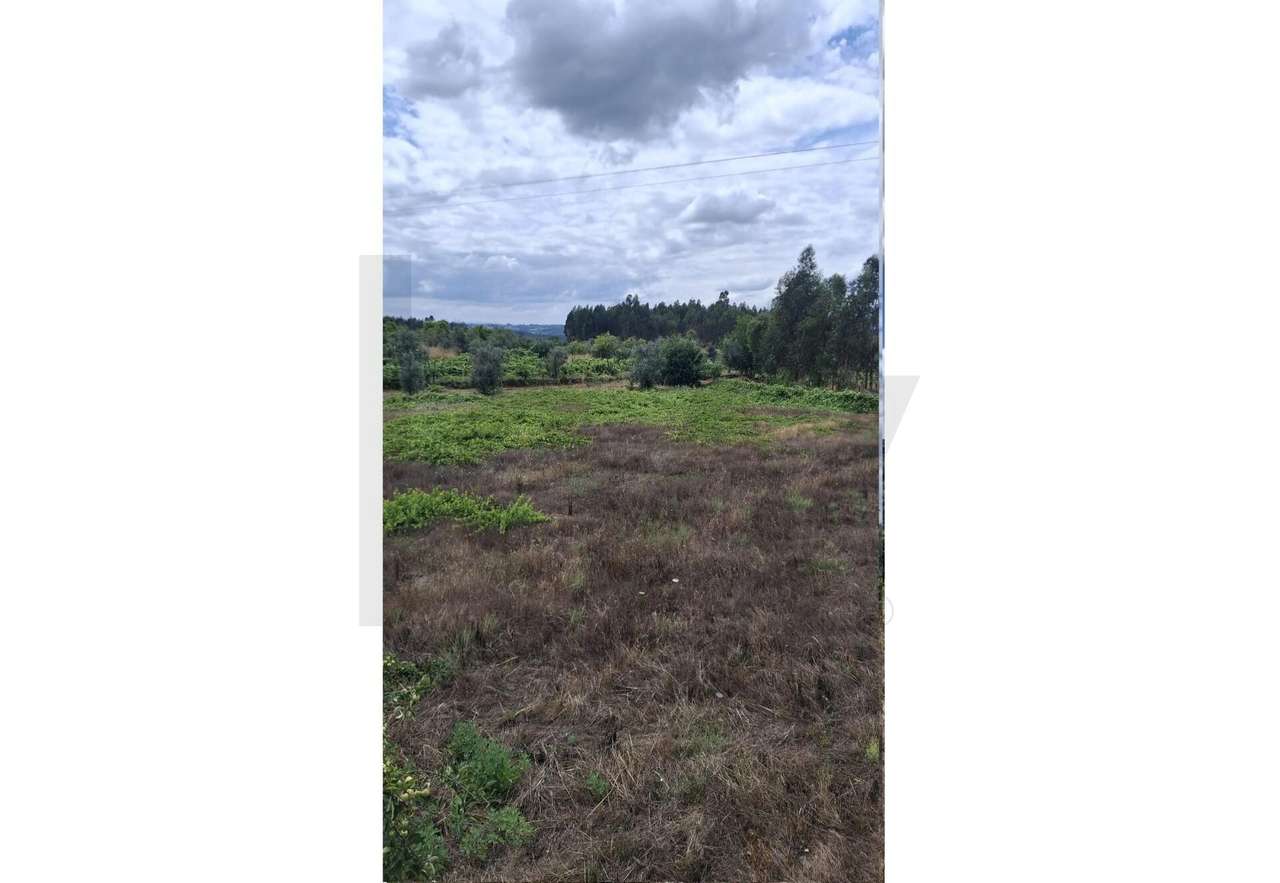 Terreno em Lageosa do Dão - Grande imagem: 5/8