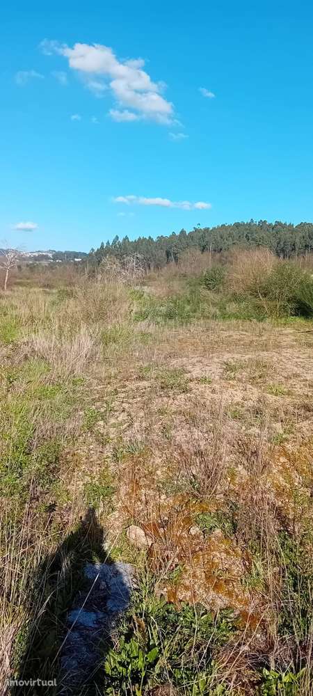 TERRENO PARA CONSTRUÇAO EM LUSADA - Grande imagem: 3/3