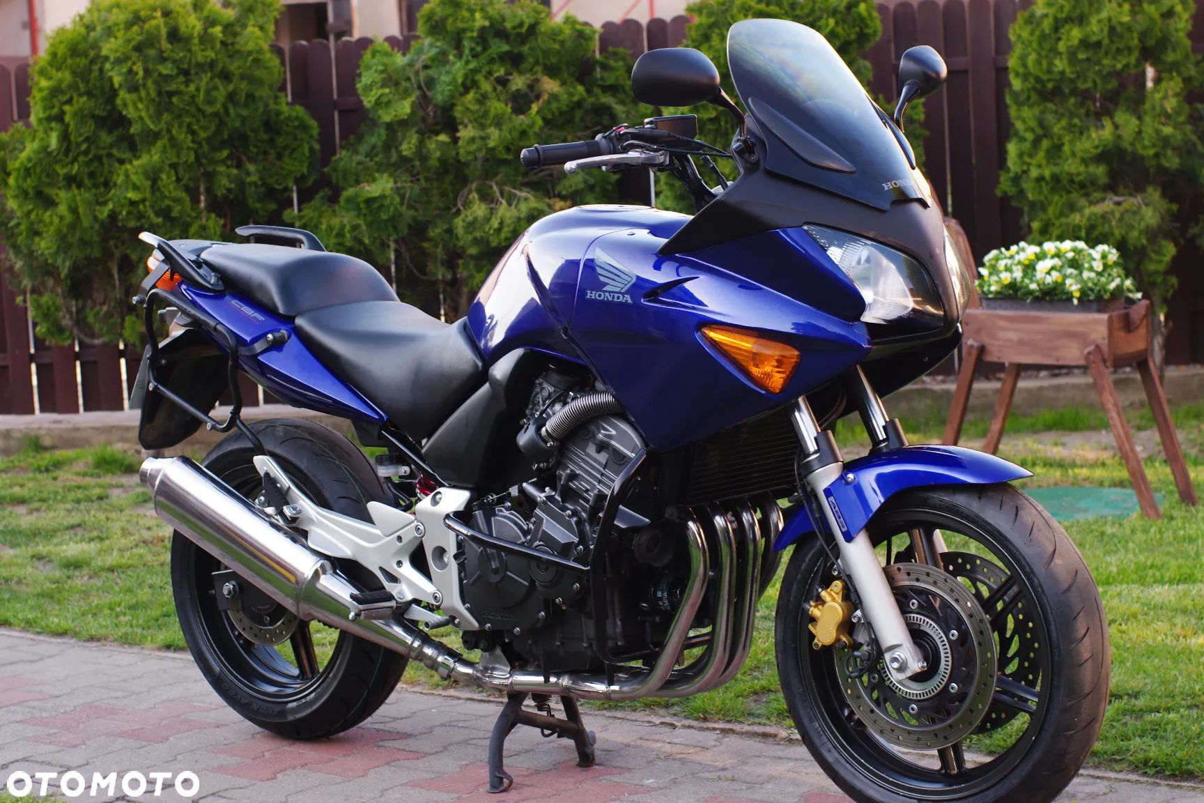 Honda Hornet - 1