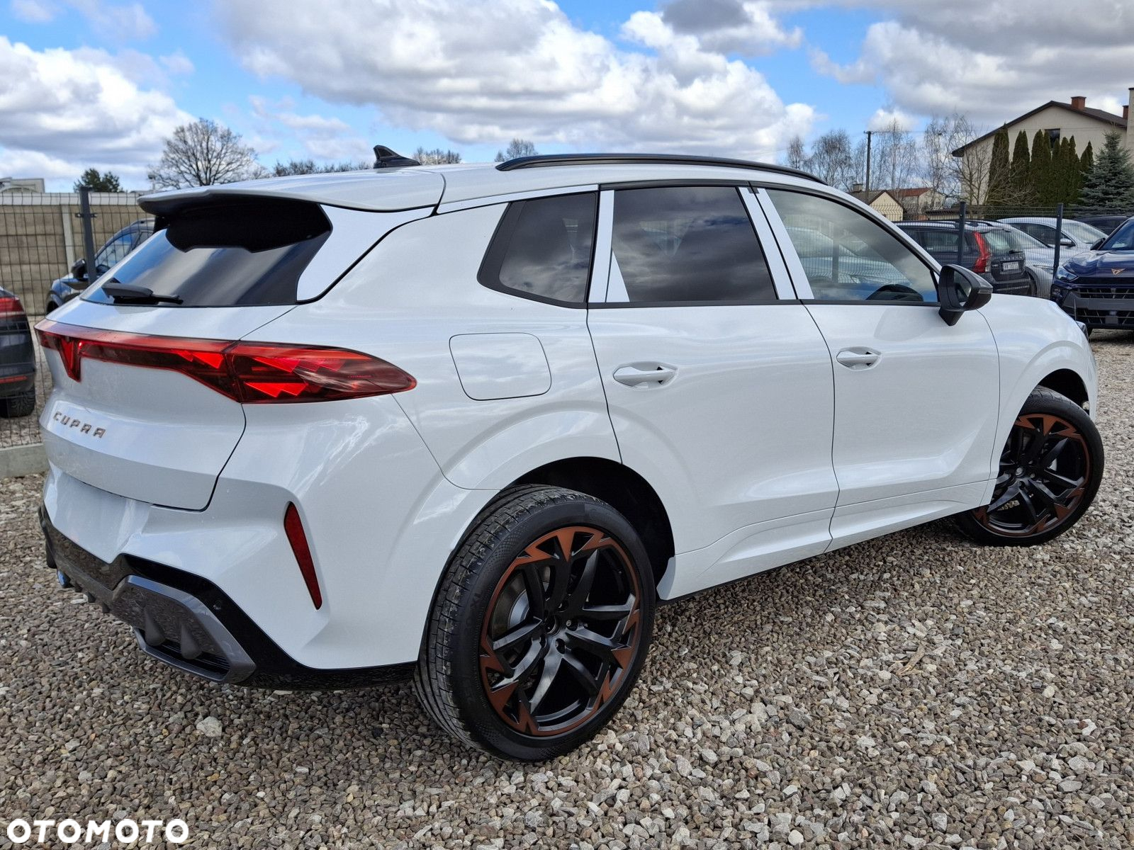 Cupra Terramar - 4