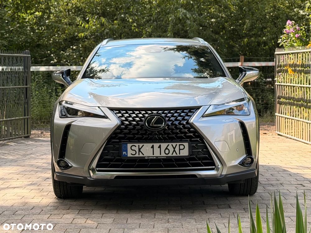 Lexus UX 250h GPF Business 2WD - 5