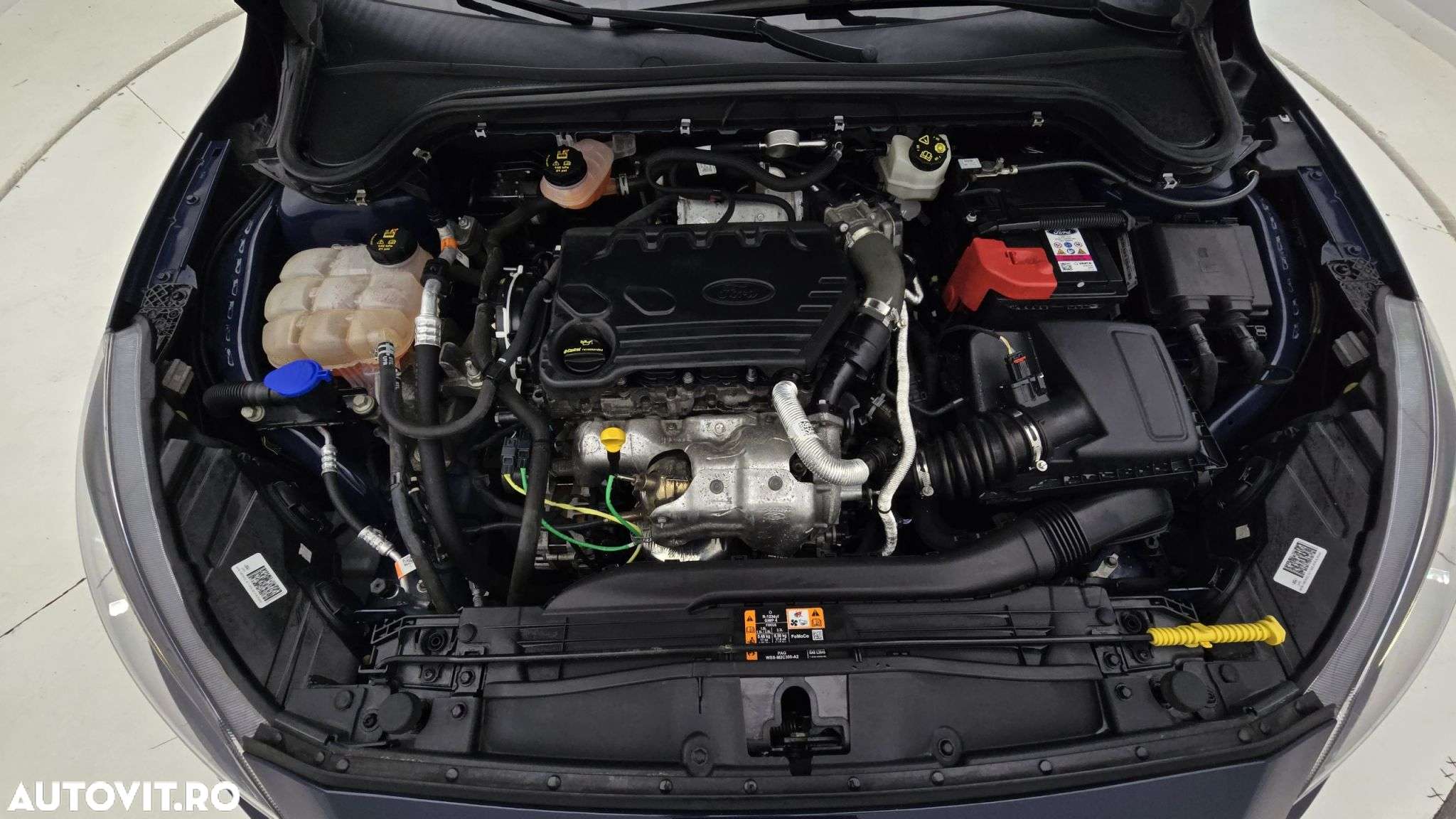 Ford Focus 1.5 EcoBlue Trend - 24
