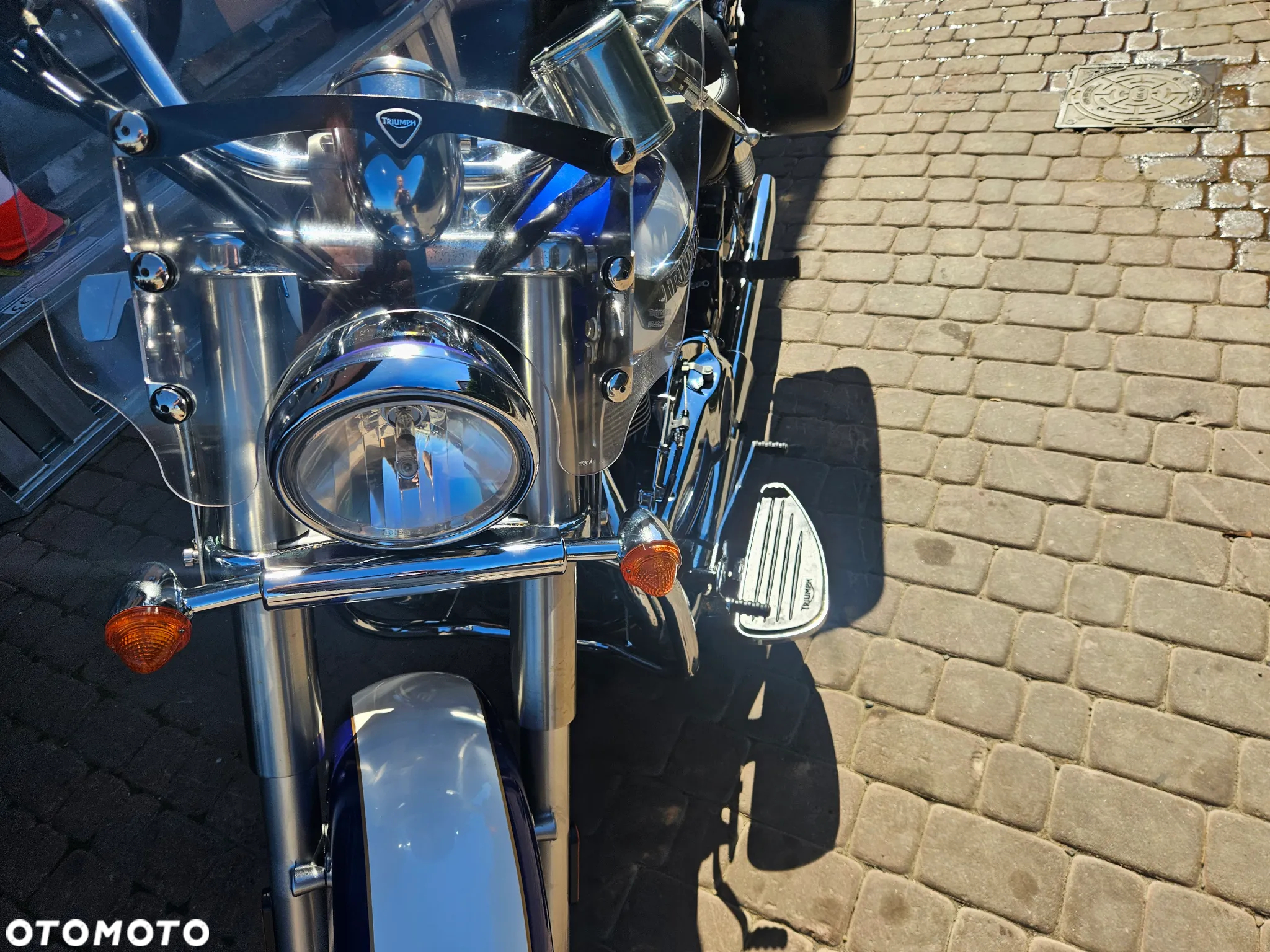 Triumph Speedmaster - 12