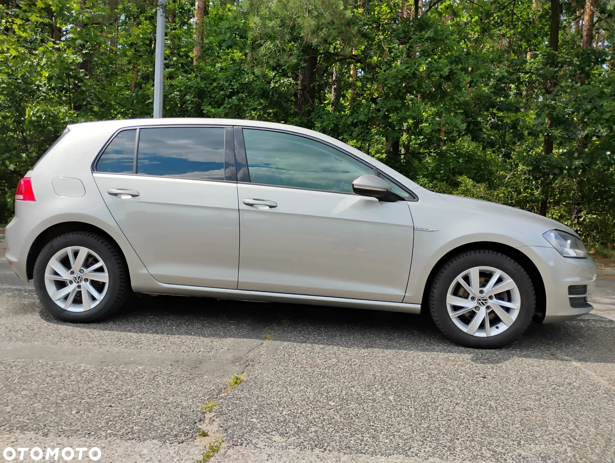 Volkswagen Golf - 20