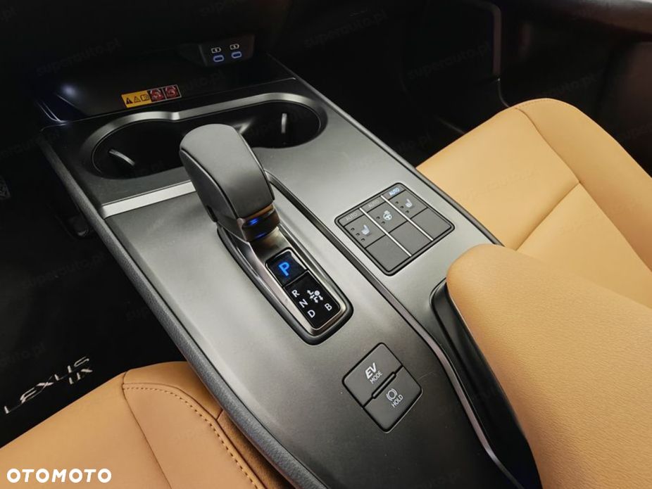 Lexus UX 300h F Sport - 12