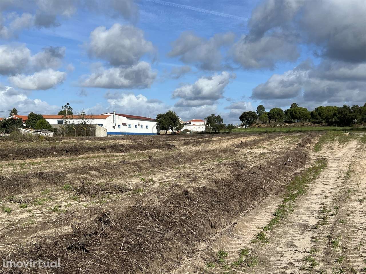 Terreno Para Construção  Venda em Biscainho,Coruche - Grande imagem: 2/14